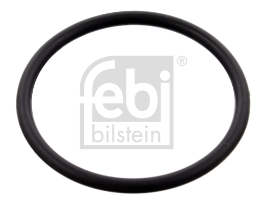 Gasket, thermostat housing